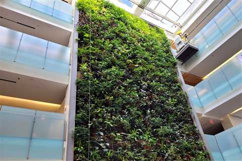 BEYOND LOCAL: Green buildings can boost well-being, healing and health