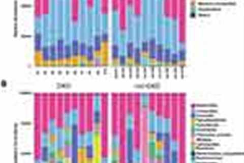 Gut microbiota in patients with diabetic nephropathy