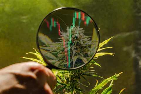 Top Marijuana Penny Stocks To Buy? 3 For Your Watchlist Under $1
