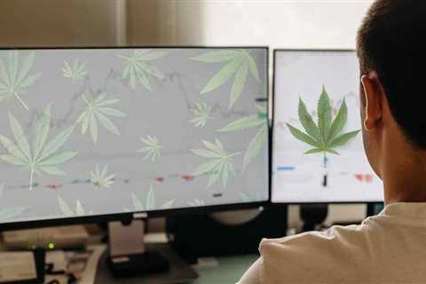 Top Cannabis Stocks To Buy Right Now? 3 For Your Watchlist Mid-March