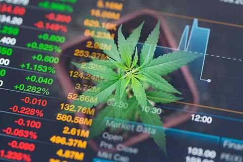 Top Marijuana Stocks To Check Out Over The Weekend