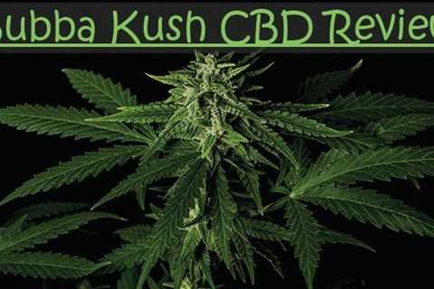 Review Bubba Kush CBD Strain - CBDhealinghand.com