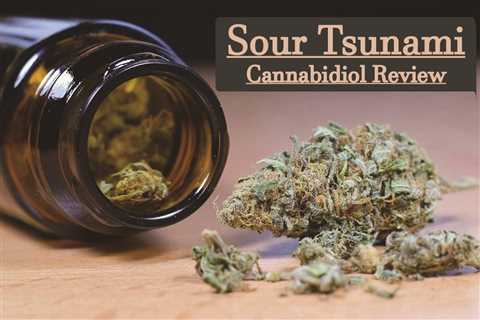 Sour Tsunami Strain Review - CBDhealinghand.com