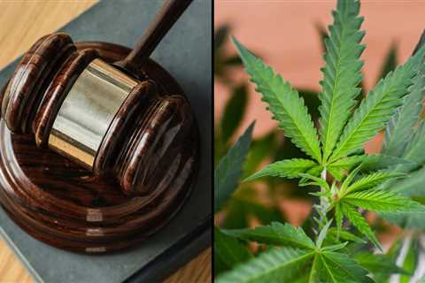 Texas Supreme Court Hears Case Challenging State’s Smokable Hemp Manufacturing Ban