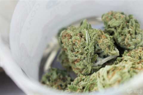 Top New Jersey Senator Plans Hearings On ‘Totally Unacceptable’ Marijuana Licensing Delays As..