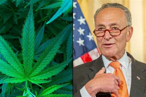 Schumer Makes ‘Promise’ On Marijuana Legalization Bill Timeline After Repeated Delays