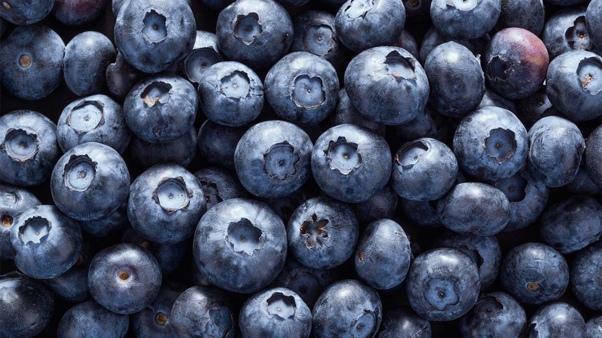 Does Eating Blueberries Help Lower Dementia Risk? (Plus, One Unique Way to Enjoy Them!)