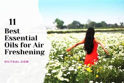 11 Best Essential Oils for Air Freshening with Diffuser Blend - Oily Gal