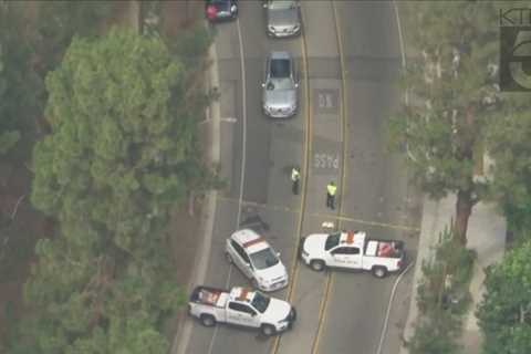 Man suffers fatal fall from tree in Beverly Hills: Police