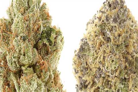 Why do people prefer indica or sativa?
