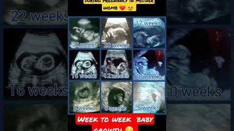 week to week baby development during pregnancy ♥ 😍 #ytshorts #fitness #short #funny #status #video