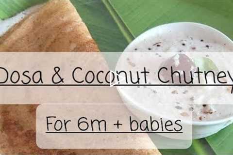 6 month food recipes Baby Led Weaning series #1 Dosa & Coconut chutney #shorts #blw#baby food..