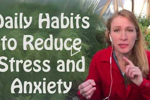 Daily Habits to Reduce Stress and Anxiety