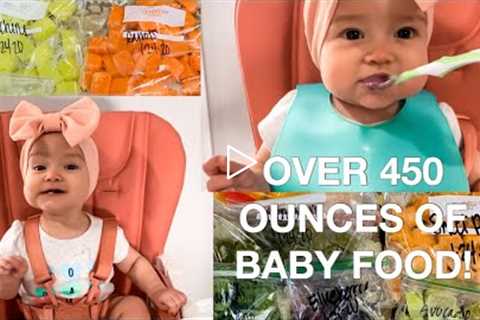 How to Make Baby Food Purees | 6-9 Months @Mama Tried