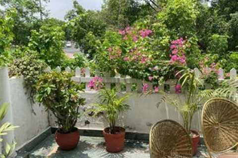 Delhi-NCR Folks, Attention!  With Festive Season Around The Corner, Head To This Quaint B&B In..