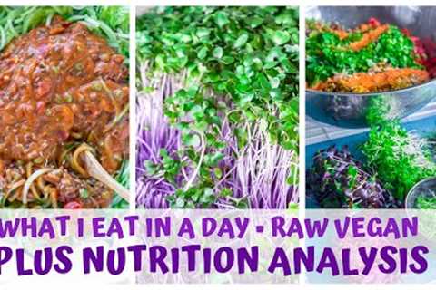 WHAT I EAT IN A DAY • RAW FOOD VEGAN + NUTRITION ANALYSIS