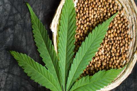 Is hemp used as a drug?