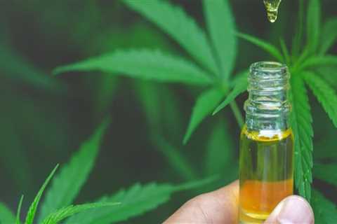 Will hemp seed oil make a positive drug test?