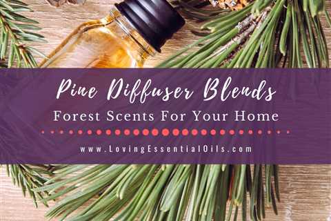 Pine Diffuser Blends - Forest Fresh Essential Oil Scents For Your Home