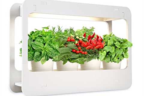 TORCHSTAR Indoor Herb Garden, Kitchen Plant Grow LED Light Kit with Timer Function, 24V Low Voltage,..