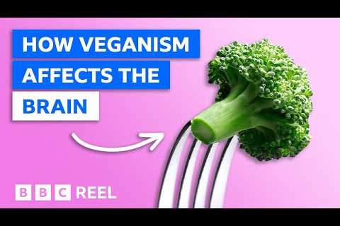 How a vegan diet affects your brain – BBC REEL
