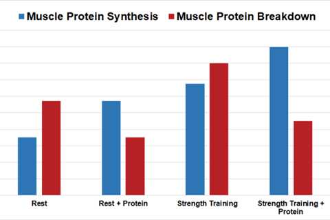 Intermittent Fasting and Protein Synthesis