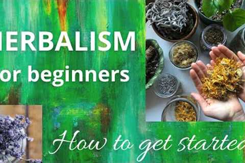 Herbalism for beginners - How to get started