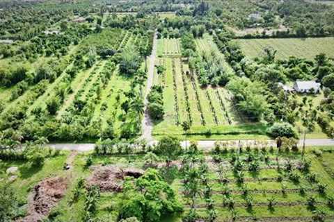 Check Out This 15-Acre Organic Tropical Fruit Operation!