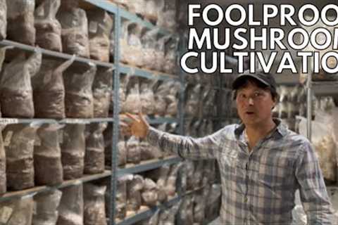 Foolproof Mushroom Farming: Your Secret Ticket to Serious Money