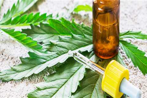 Which is Better for Pain Relief: Hemp or CBD?