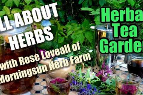 8/8 Herbal Tea Garden - Morningsun Herb Farm''s 8-video series ALL ABOUT HERBS with Rose Loveall