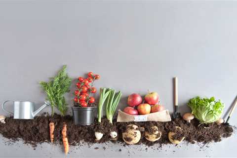 Impact of Organic Foods on the Economy
