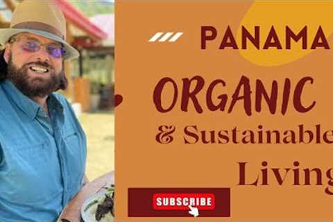 Learn About Phil''s Organic Sustainable Farm in Panama