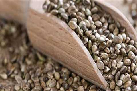 The Benefits and Side Effects of Hemp Seeds