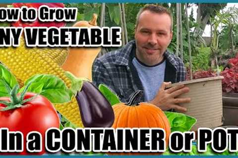 How to Grow Vegetables in Containers // Container Gardening // Self Sufficient Sunday!