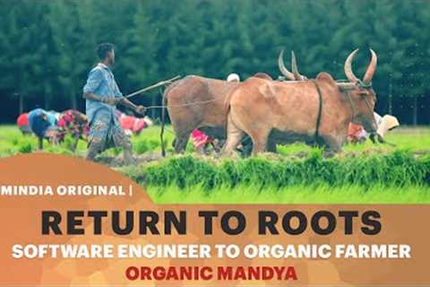 Return To Roots - Software Engineer To Organic Farmer | @OrganicMandya1
