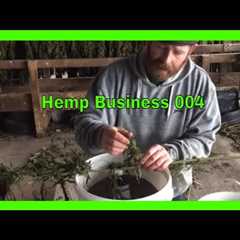 Making Products Out Of Hemp & The Future For Hemp Businesses