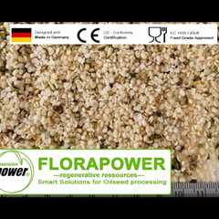Hemp seed pressing – oil extraction of peeled hemp seeds with automatic screw press by Florapower