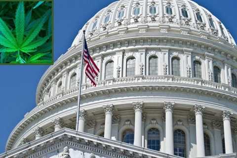 Top House Democrat And Republican Congressman File Bill To Prepare For Federal Marijuana..