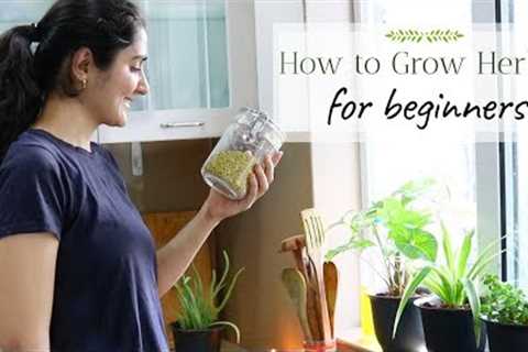 Plants you can grow from Kitchen Spices | Ep 1 | Grow with me