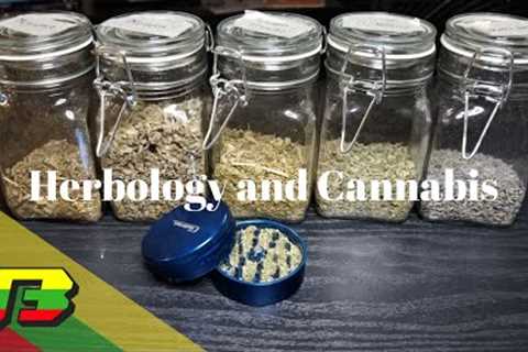 Mixing Herbology with Cannabis | BammerTV