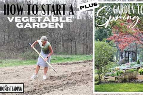 Starting a Vegetable Garden ~ Spring Garden Tour ~ Growing your own Food ~ Small Property Homestead