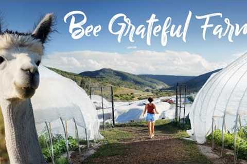 Organic Farm at 7,000ft + Alpacas, Caramel Candy, and a Onewheel!