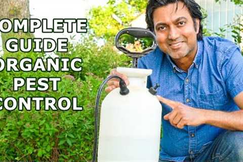 Pesticide Companies Don''t Want You to Know These Secrets | Complete Guide to Organic Pest Control