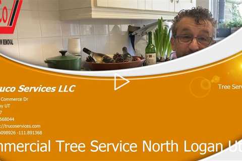 Tree-Services-Midway-Utah
