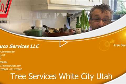 Tree-Services-Roy-Utah
