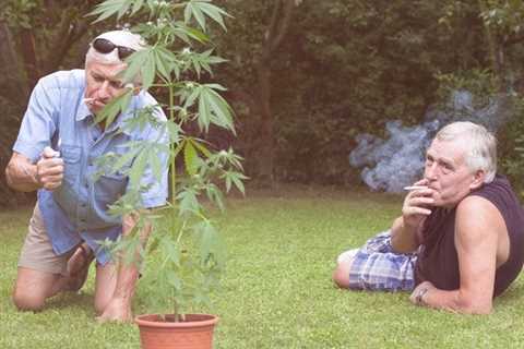 Grandma and Grandpa Are Getting Way Too Stoned - Doctors Issue Warning about Seniors and THC
