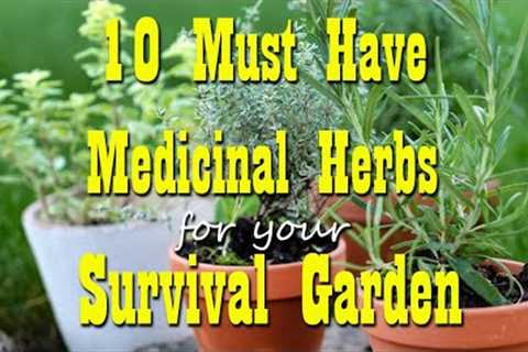 10 Must Have Medicinal Herbs for your Survival Garden ~ Preparedness