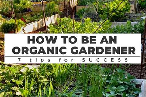 How to be an ORGANIC GARDENER: 7 Tips for Success