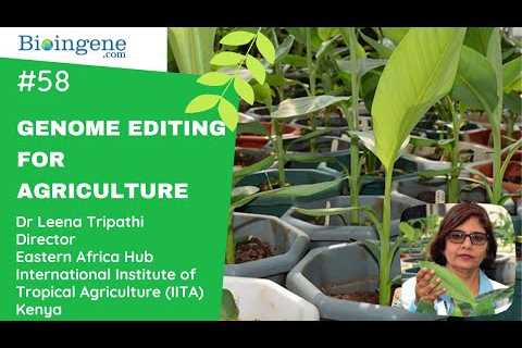 Webinar on the Potential of Genome Editing for Sustainable Agriculture
